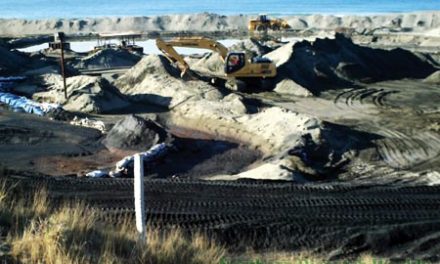From develpoment to destruction
