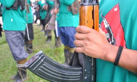 CPP-NPA declares unilateral ceasefire