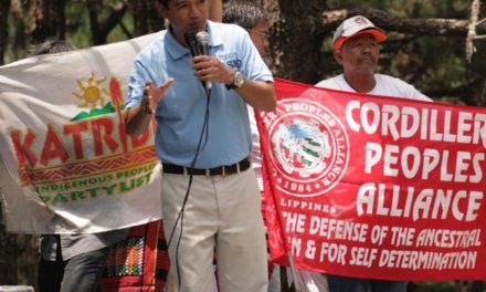 Mining critics are pro-mining