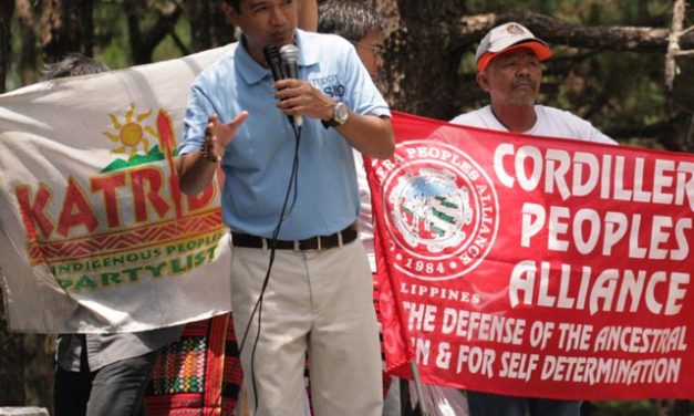 Mining critics are pro-mining