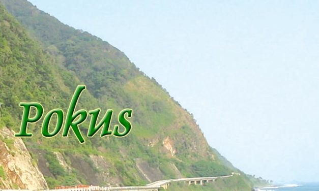 Pokus: On the second automated elections