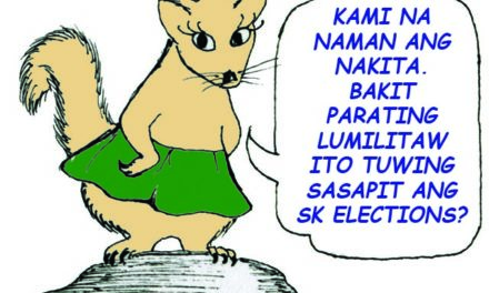 Youth solon questions intentions behind call for SK aboition