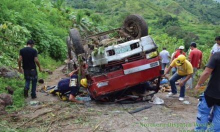 Driver killed in Marcos Highway truck mishap