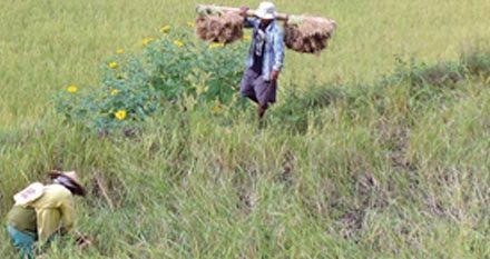 Nurturing the land that gives life