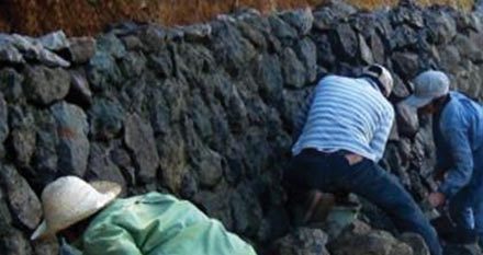 Diaries From The Field: Disaster 101, learning terminologies of Disaster Risk Reduction