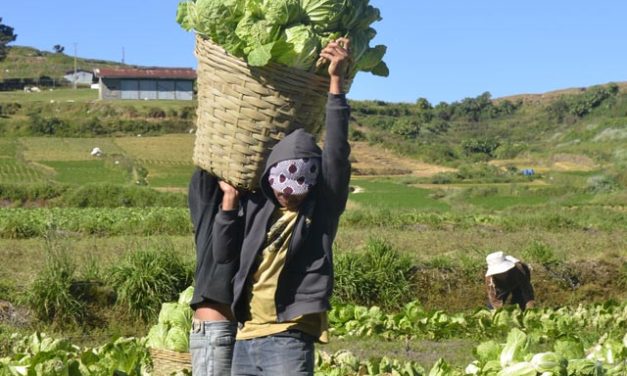 Agriculture no longer leading employment in Cordillera