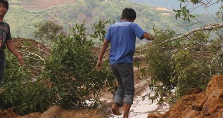 Diaries From The Field: Cordillera road courtesy