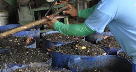 PhilAm Homes, a model for an environmentally friendly barangay