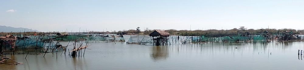 Livelihood main concern of Ilocos Lawin victims