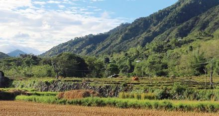 Nickel Asia offshoot keen on exploring Cervantes