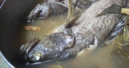 Makan a la Pinoy: Sinigang iti kalangakang