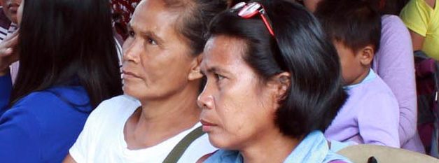 Bt corn farming not profitable