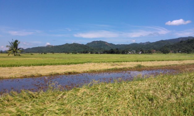 Ilocos farmers: loan payment moratorium, forego interest