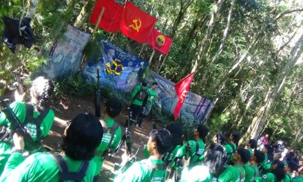 NPA Abra downplays persona non grata declaration