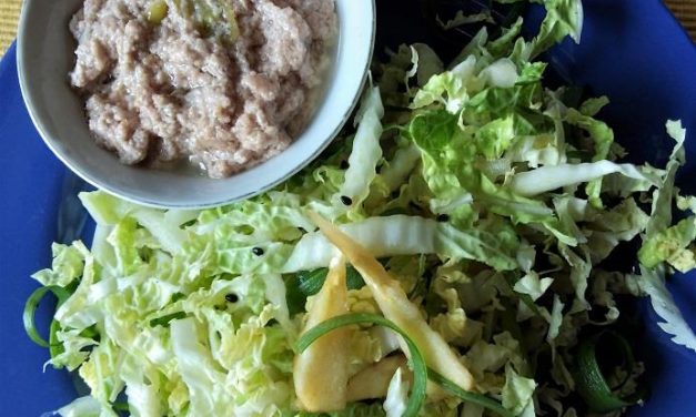 Sinantolan ken ensalada a wombok