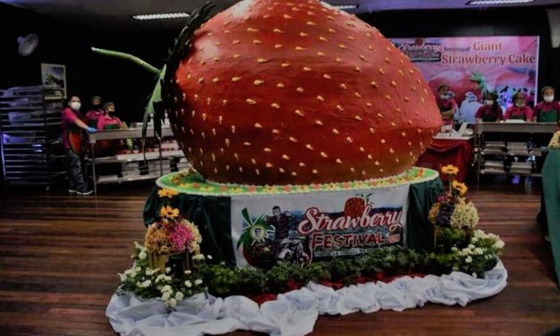 Sweet Benguet strawberries gone stale