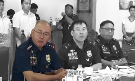 Cops engage in partisan politics will be relieved – Albayalde