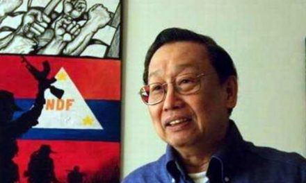 Reds say no basis yet to reciprocate government’s unilateral ceasefire