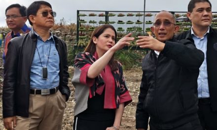 Magalong expresses regret over strawberry blunder