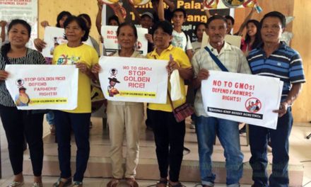 Group hits biosafety permit for Golden Rice, says China railroaded approval