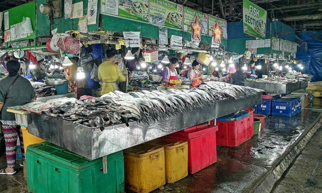 Public urged to oppose Baguio Market rehab under private corporations
