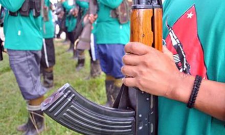 Northern Luzon reds say AFP campaign to fail despite NPA setbacks