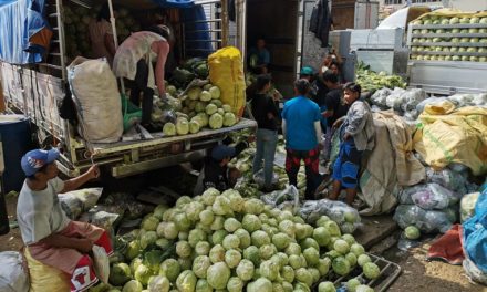 Benguet traders reiterate call to stop vegetable smuggling, imports