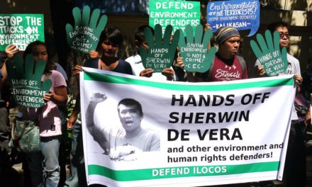 Groups laud junking of case against environmentalist journo
