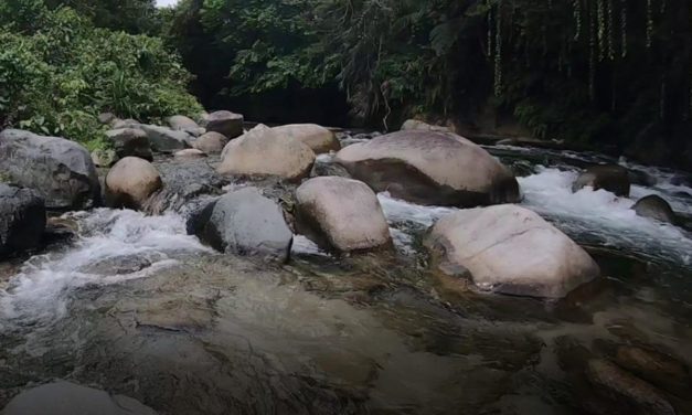 Electricity that does not destroy the environment