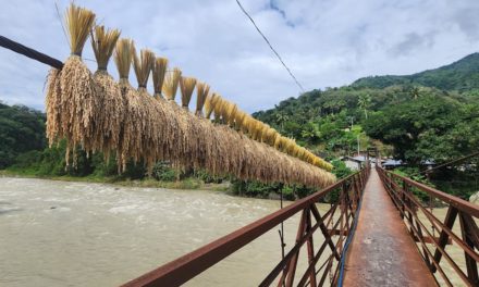 In Kalinga, red-tagging hinders development work, grassroots participation