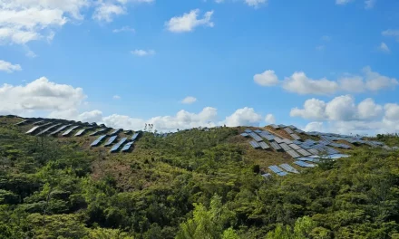 Peasant group says “green rush” threatens country’s agricultural, ancestral lands