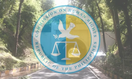 CHR urges immediate action in Abra shootings