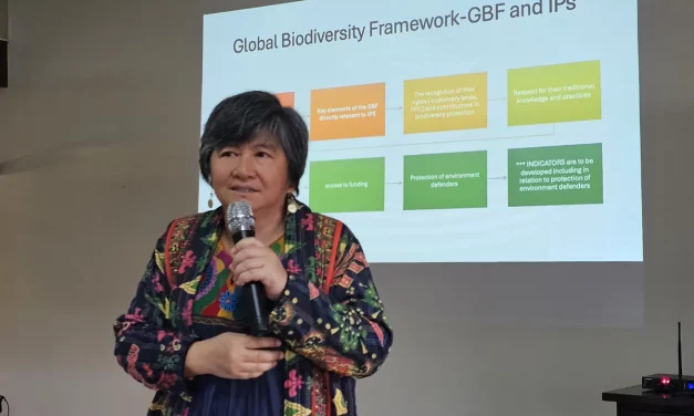 Cordillera indigenous activist awarded the ‘Alternative Nobel’