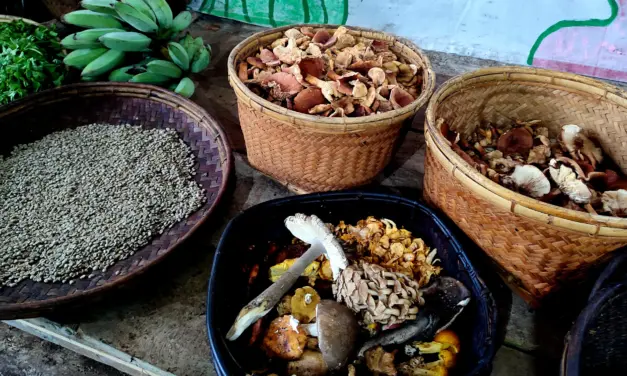 Food, forests, freedom: Gulay Pa More brings food heritage advocacy to Sagada