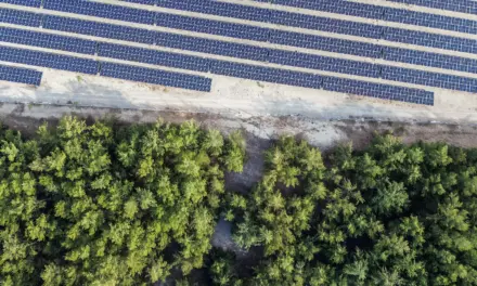Journalist refutes PENRO Ilocos Norte ‘fake news’ tag on solar farm report