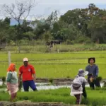 Kalinga farmers back fair trade ordinance, cite challenges