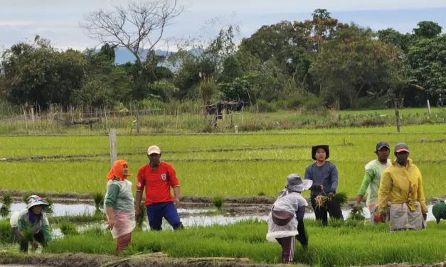 Kalinga farmers back fair trade ordinance, cite challenges