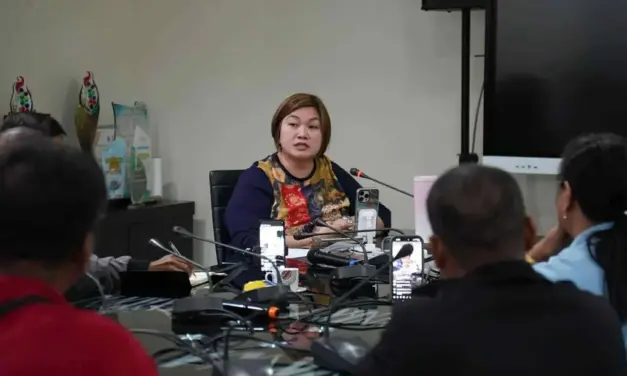 Tuguegarao mayor to sue DPWH engineer over questionable projects