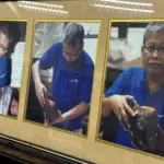 15 years later: Rescued photos from Leonard Co released as family awaits court verdict