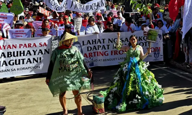 From animal welfare, ecology, to health: Advocates find common cause in corruption fight