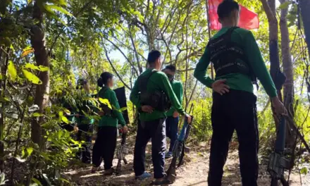 Reds begin unilateral New Year ceasefire