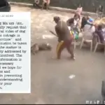 Amid calls for accountability, media outlet told to remove report on dog killing