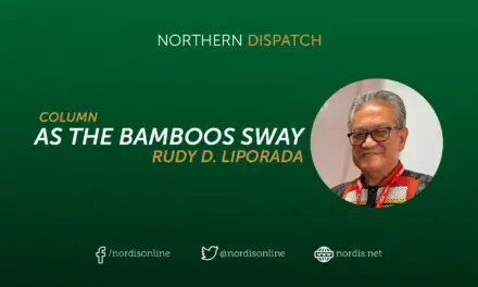 I Called Him Kuya Vijo