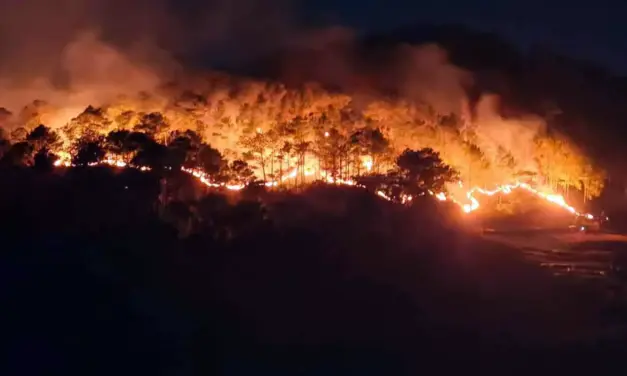 Forest fires hit Benguet mountains ahead of dry season