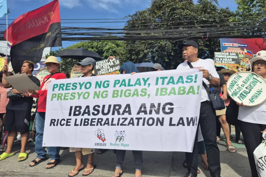 Kmp Rice Northern Dispatch | News | Farmers hit rice trade liberalization for ...