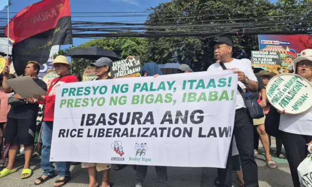 Farmers hit rice trade liberalization for lower prices, hybrid seed reliance