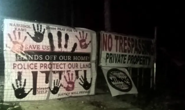 IP rights group cites LGU bypass in Senate inquiry on mining in Vizcaya