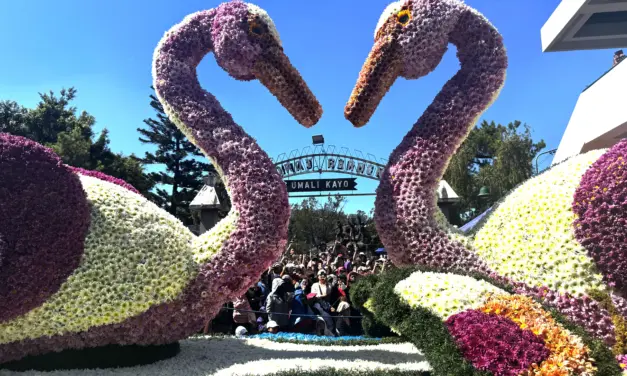 Panagbenga at 30: In full bloom