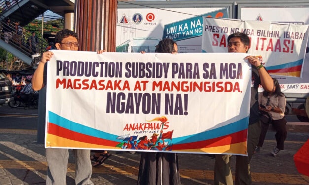 Fuel hikes drive Ilocos farmers, fishers deeper into crisis