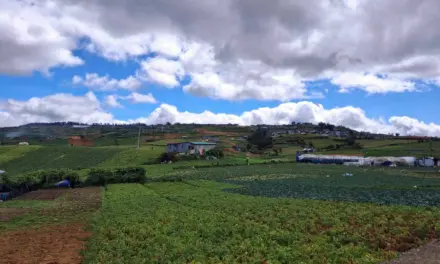 ‘Kalbaryo ng magsasaka.’ Rising fuel, production costs burying farmers in debt